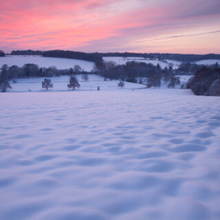 HS2 and the Chilterns Chalk Streams