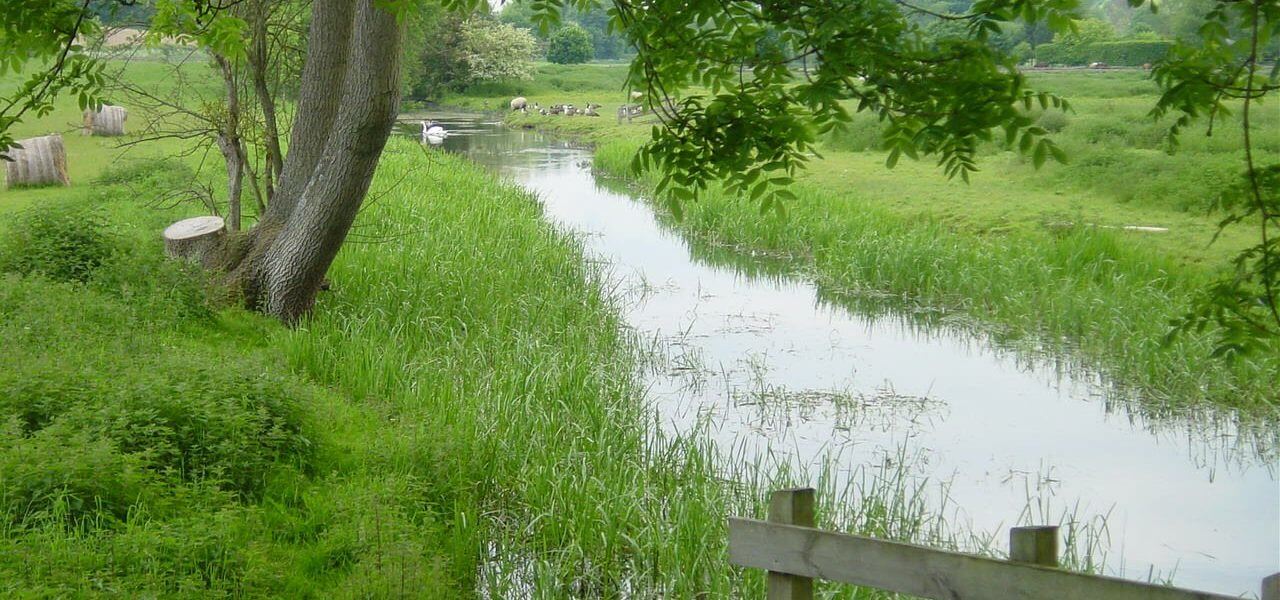 25th Anniversary of the Chilterns Chalk Streams Project