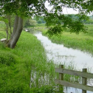 25th Anniversary of the Chilterns Chalk Streams Project