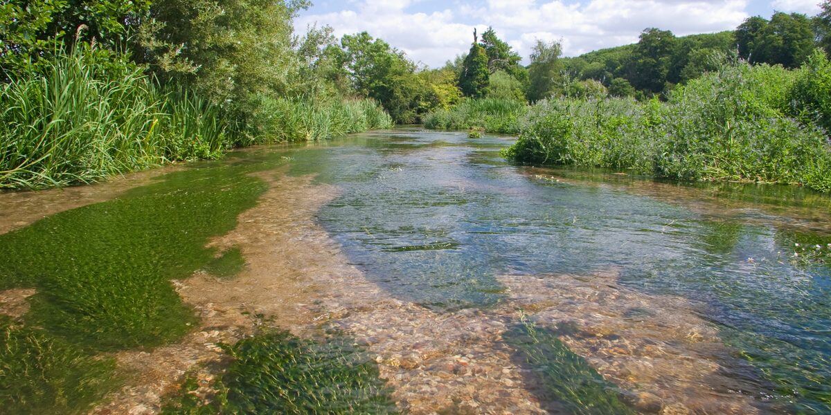 25 Years Of The Chilterns Chalk Streams Project