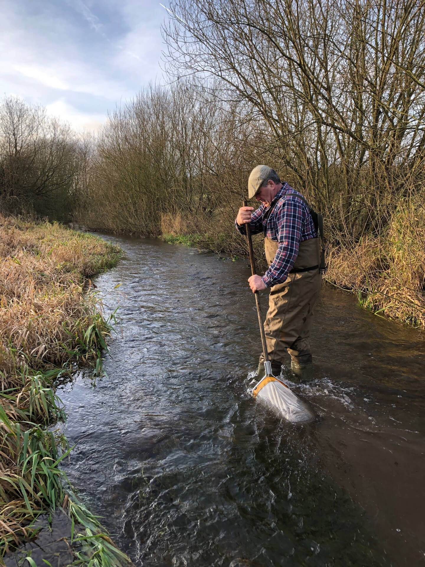 3.3. Paul Jennings riverfly monito