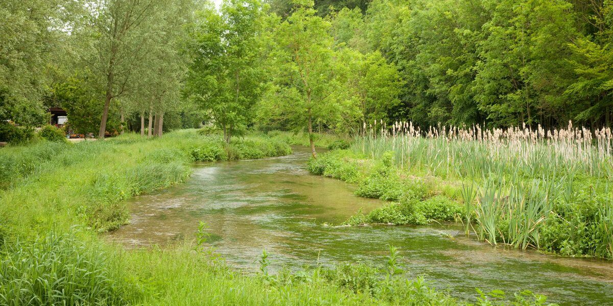 How do chalk streams work?