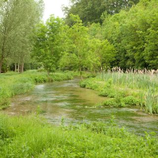 Chilterns National Landscape secures funding to develop ‘Not Bourne Yesterday’