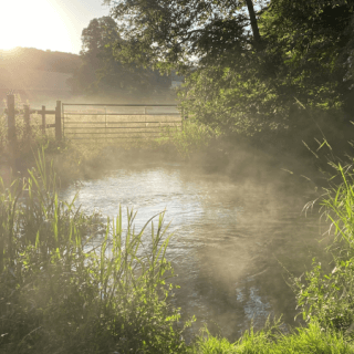 The Chiltern Society and Chilterns Conservation Board receives grant from Green Recovery Challenge Fund