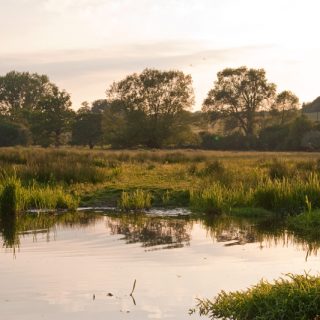 Update on River Chess Smarter Water Catchment