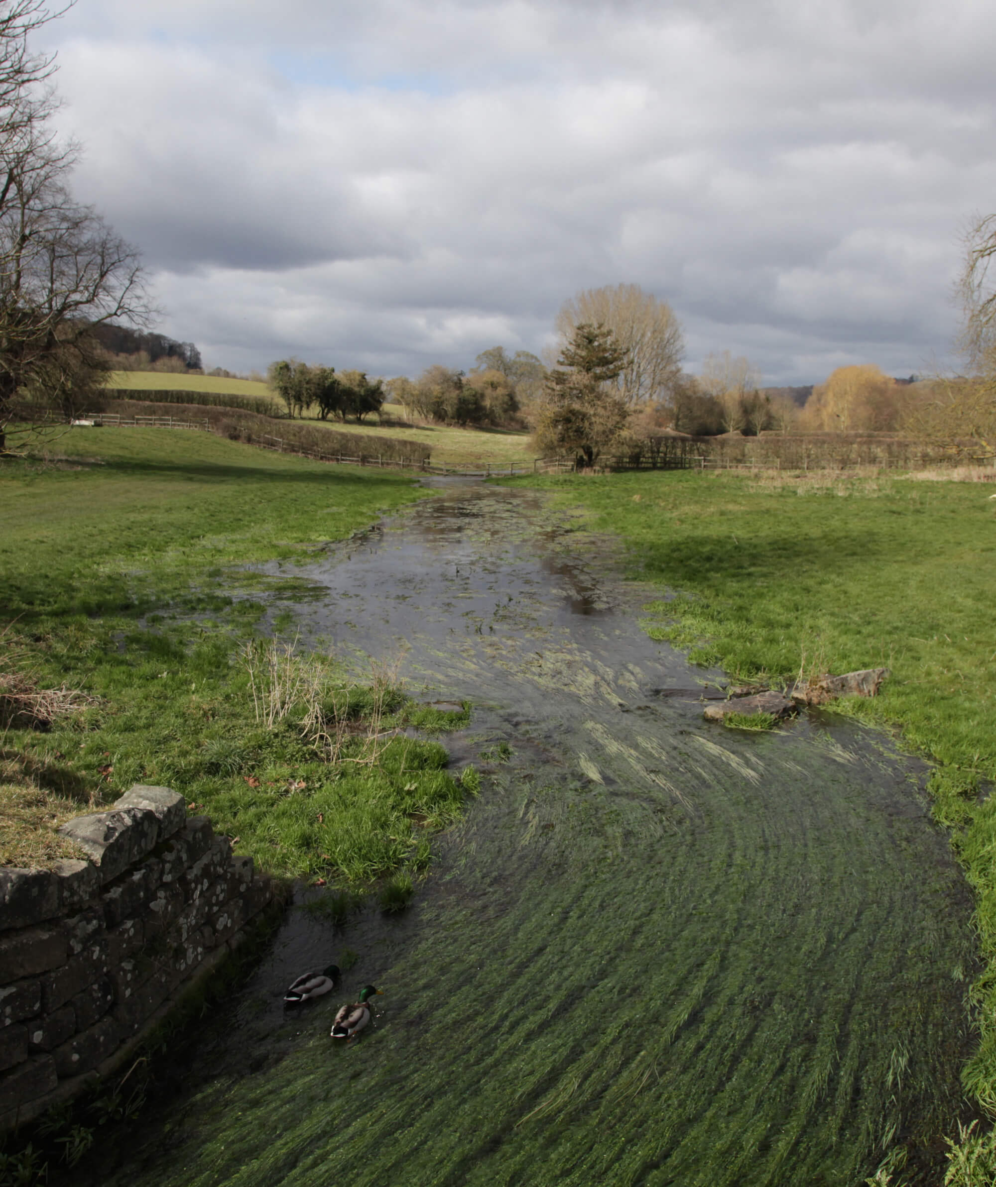 2.2 Hughenden Stream at Hughenden Ma resize