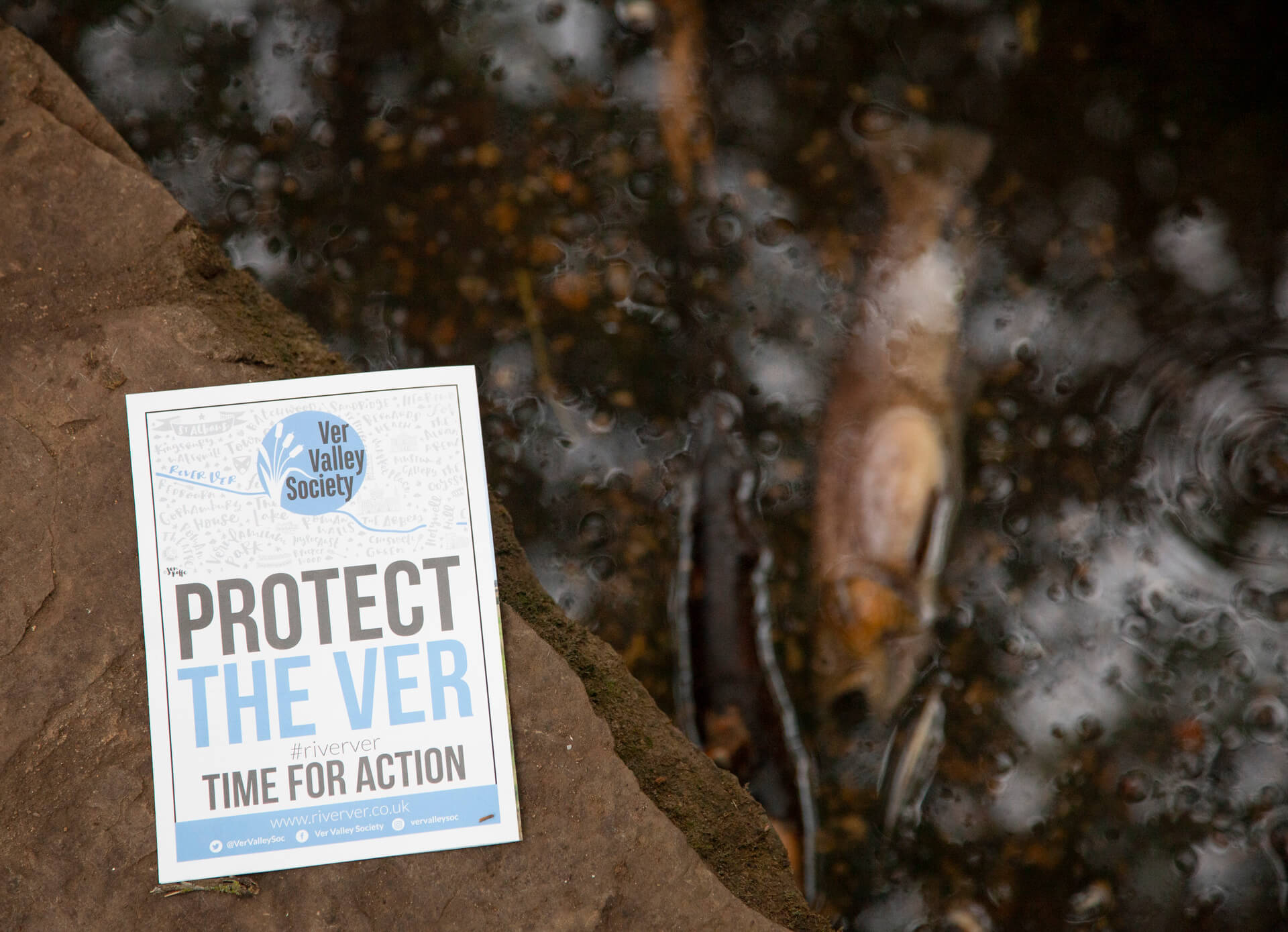 3.3.1 IMG_3269 resized