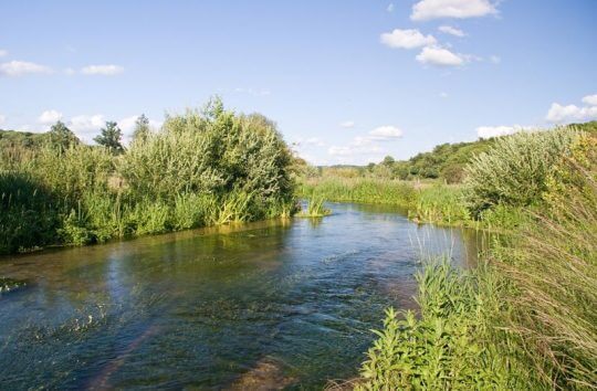 The River Chess at Latimer Meadows
