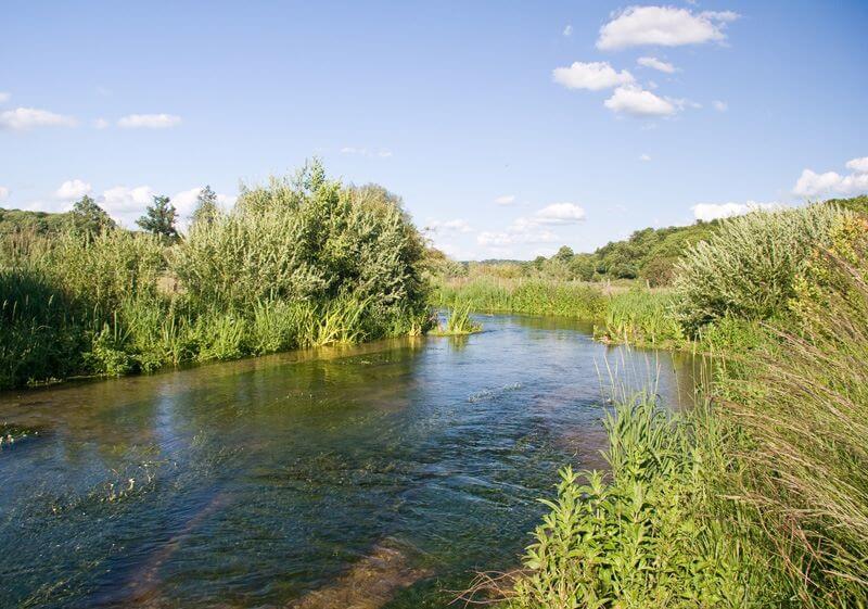 The River Chess at Latimer Meadows