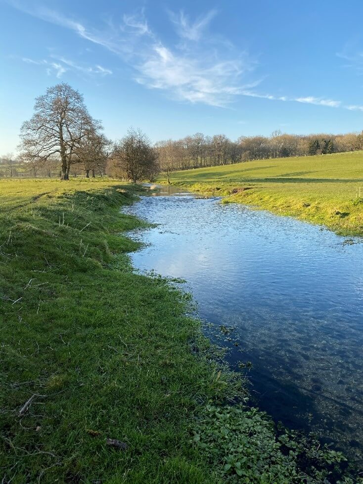 River Chess area where fencing has been added due to the Smarter Water Catchment Project