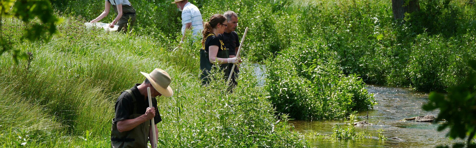 The Chilterns, Hertforshire and Middlesex Riverfly Hub