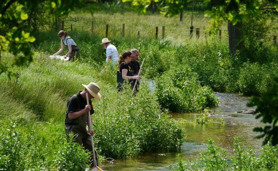 3.3 Riverfly training #3, 6th June 2