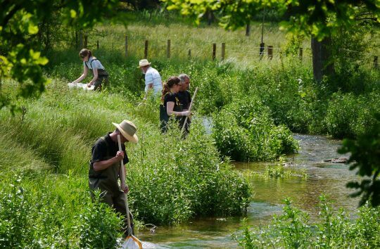 3.3 Riverfly training #3, 6th June 2
