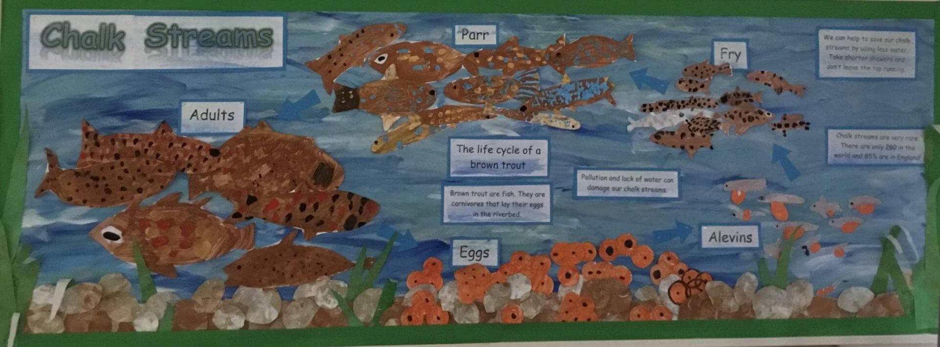 School trout art work