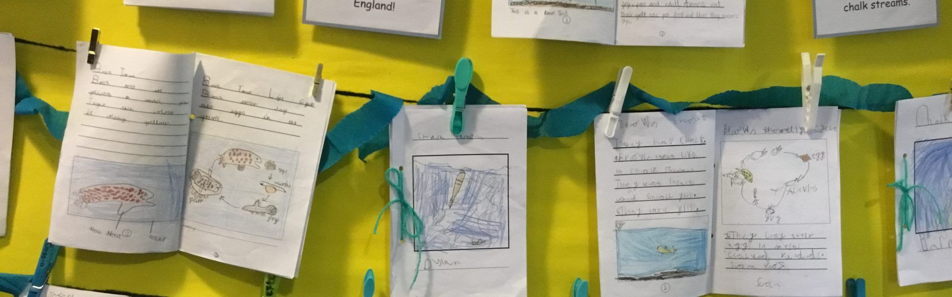 Chalk Streams Project Education Update