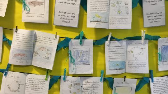 Chalk Streams Project Education Update