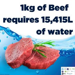 1kg of Beef requires 15,415L of water