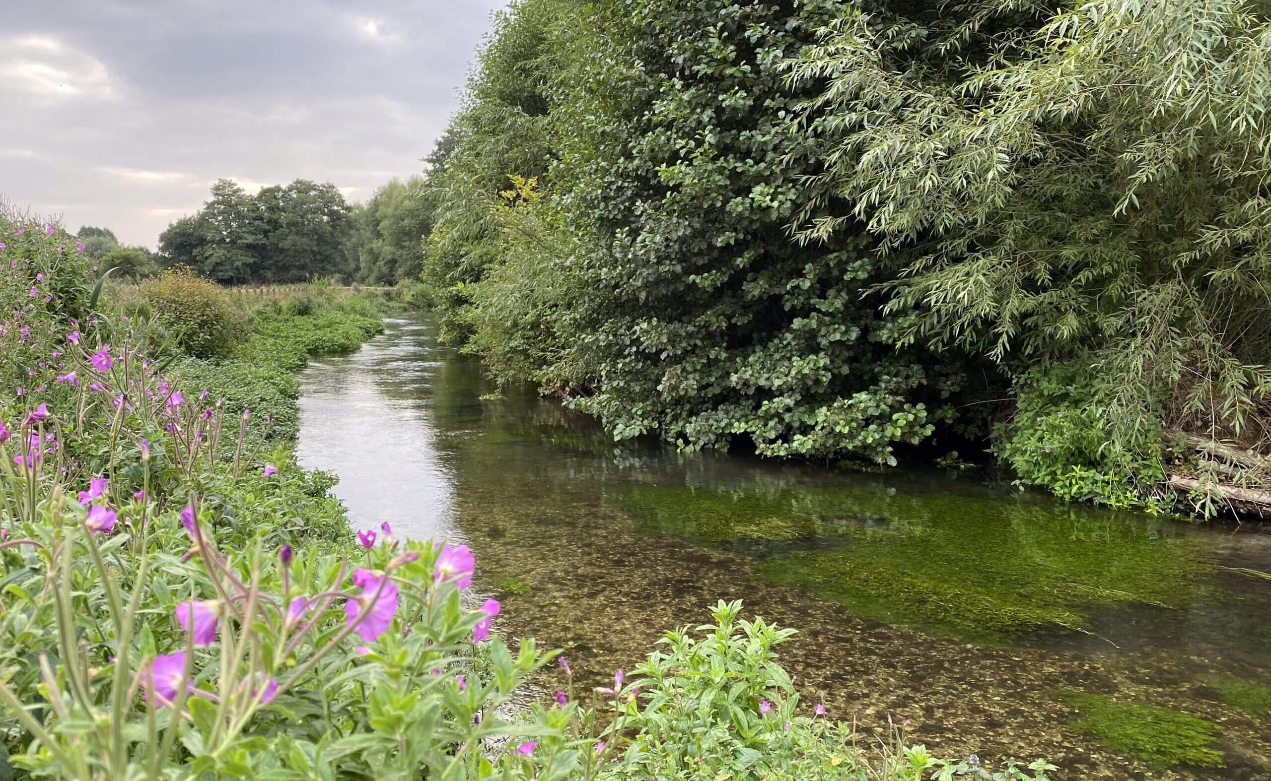 River chess at Sarratt Bottom 2021