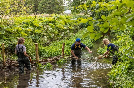 RChess_Staff_Restoration_220727_CDrake_AH0A7016_27