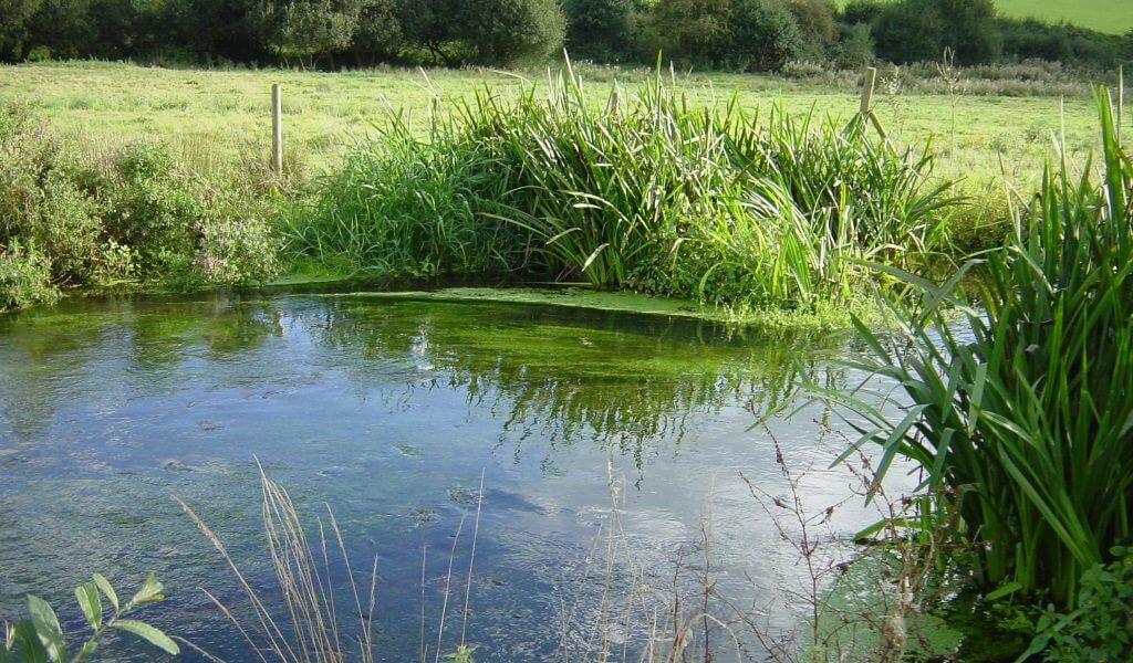 Investigating the catchment hydrology of the River Chess