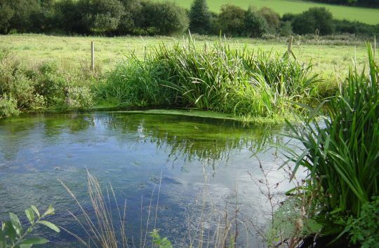Investigating the catchment hydrology of the River Chess