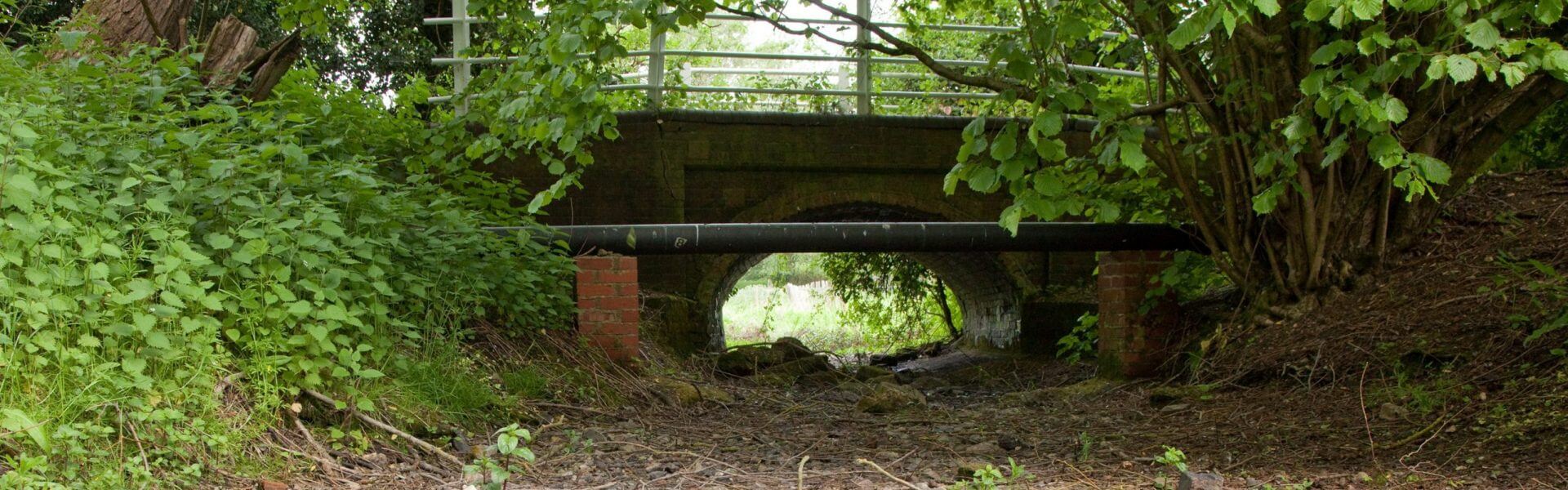 Chalk Streams in Crisis