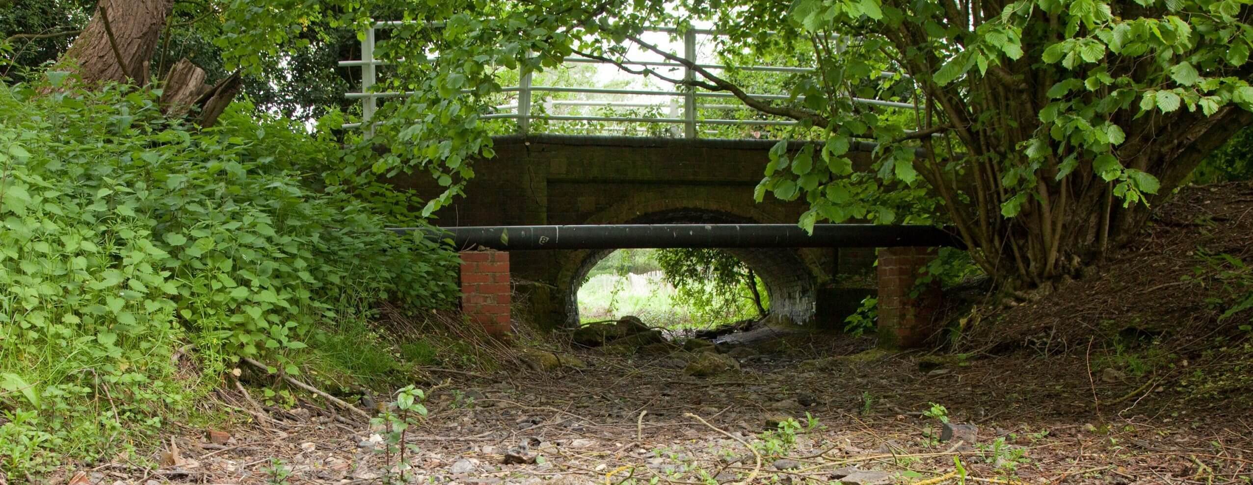 A dry stretch of the River Ver during a period of low flows