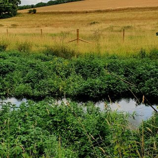 Smarter Water Catchment Update