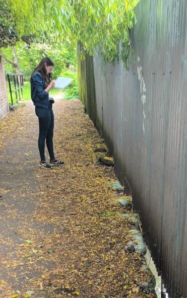 Alice Dancer out and about MudSpotting