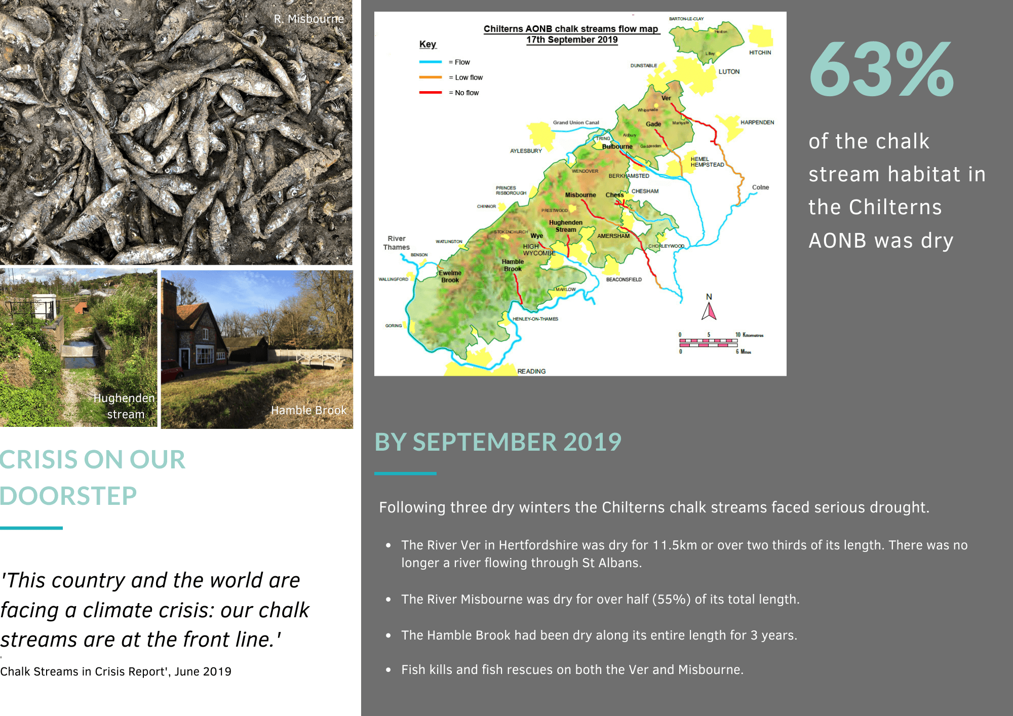 CHalk Streams in crisis
