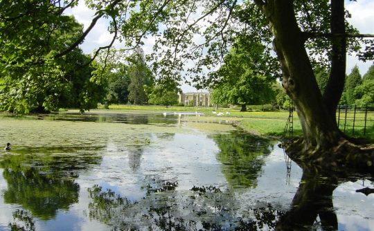 Misbourne, Warren Water at Gt Missenden 6