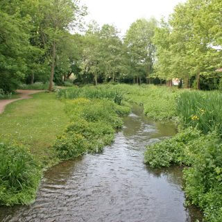 Buckinghamshire Council publishes hard-hitting report on pollution of the County's rivers and chalk streams
