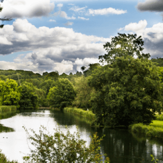New Planning Guidance Launched to Protect Chalk Streams