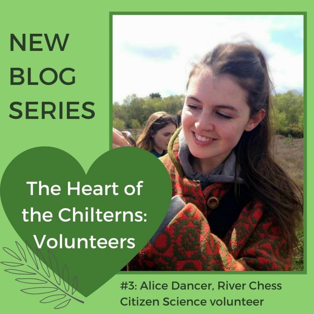 The Heart of the Chilterns Volunteers #3 Alice Dancer