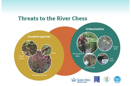 Threats-to-the-River-Chess1024_1