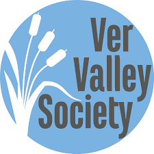 VVS logo