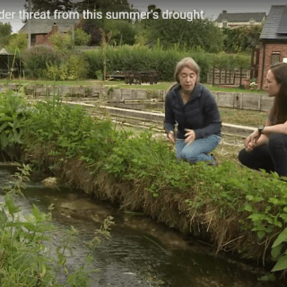 Chilterns Chalk Stream project appears on ITV Meridian News