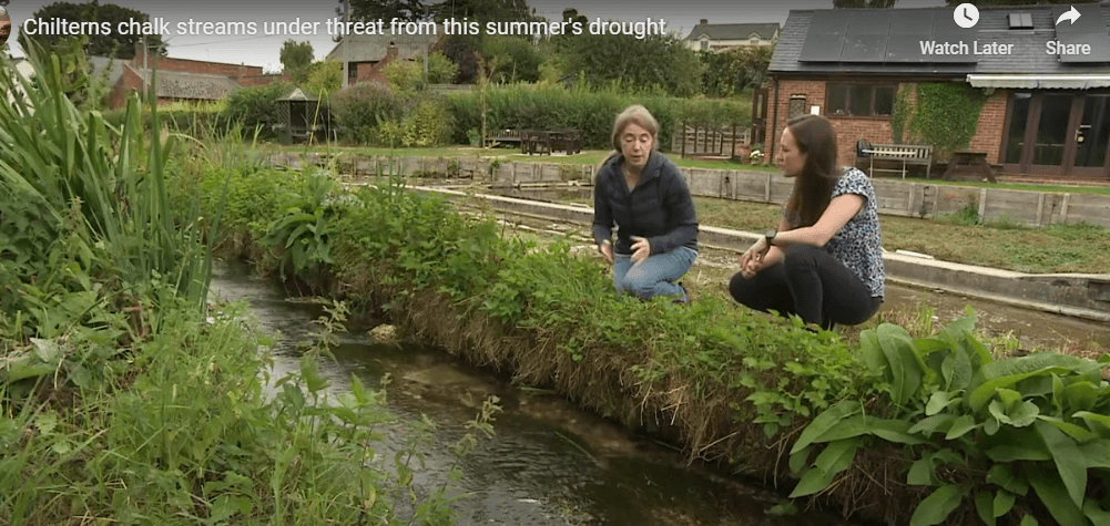 Chilterns Chalk Stream project appears on ITV Meridian News