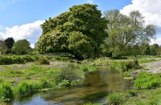 View US to canal overflow 2 after 26-04-17 ©John Morris