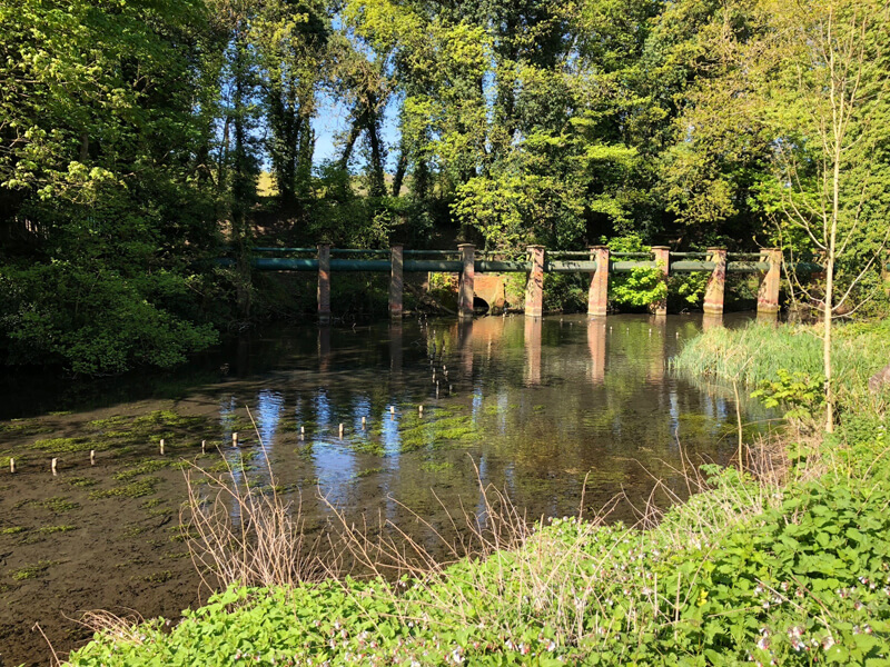 2 Old watercress bed #3 before work