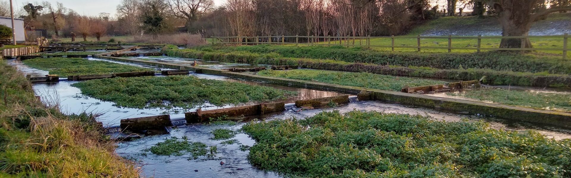 Enhancing the Ewelme Brook