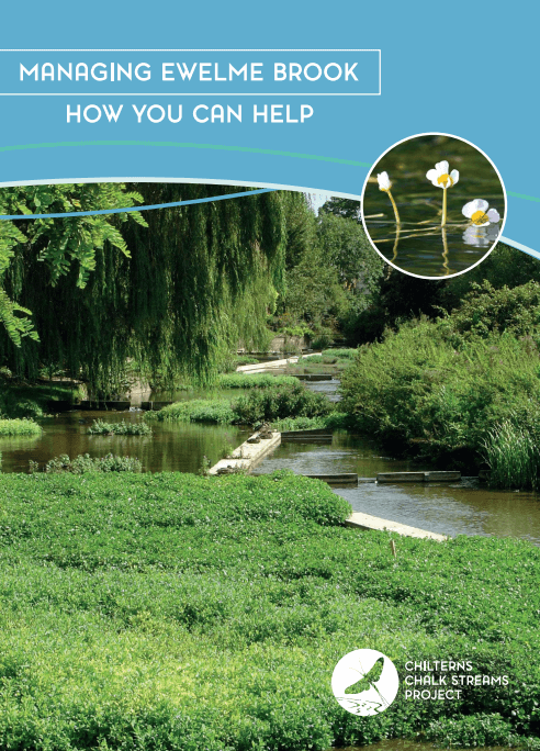 Ewelme Brook leaflet