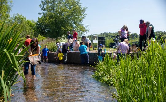 River Chess Discovery Day - River Dipping