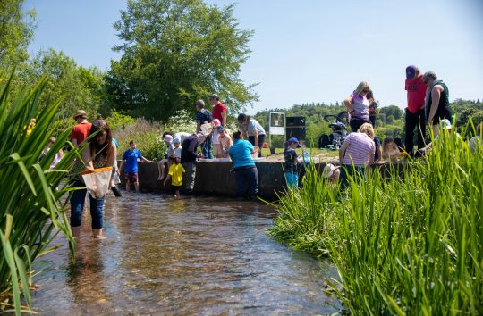 Not Bourne Yesterday: Chalk Stream Communities of the Chilterns