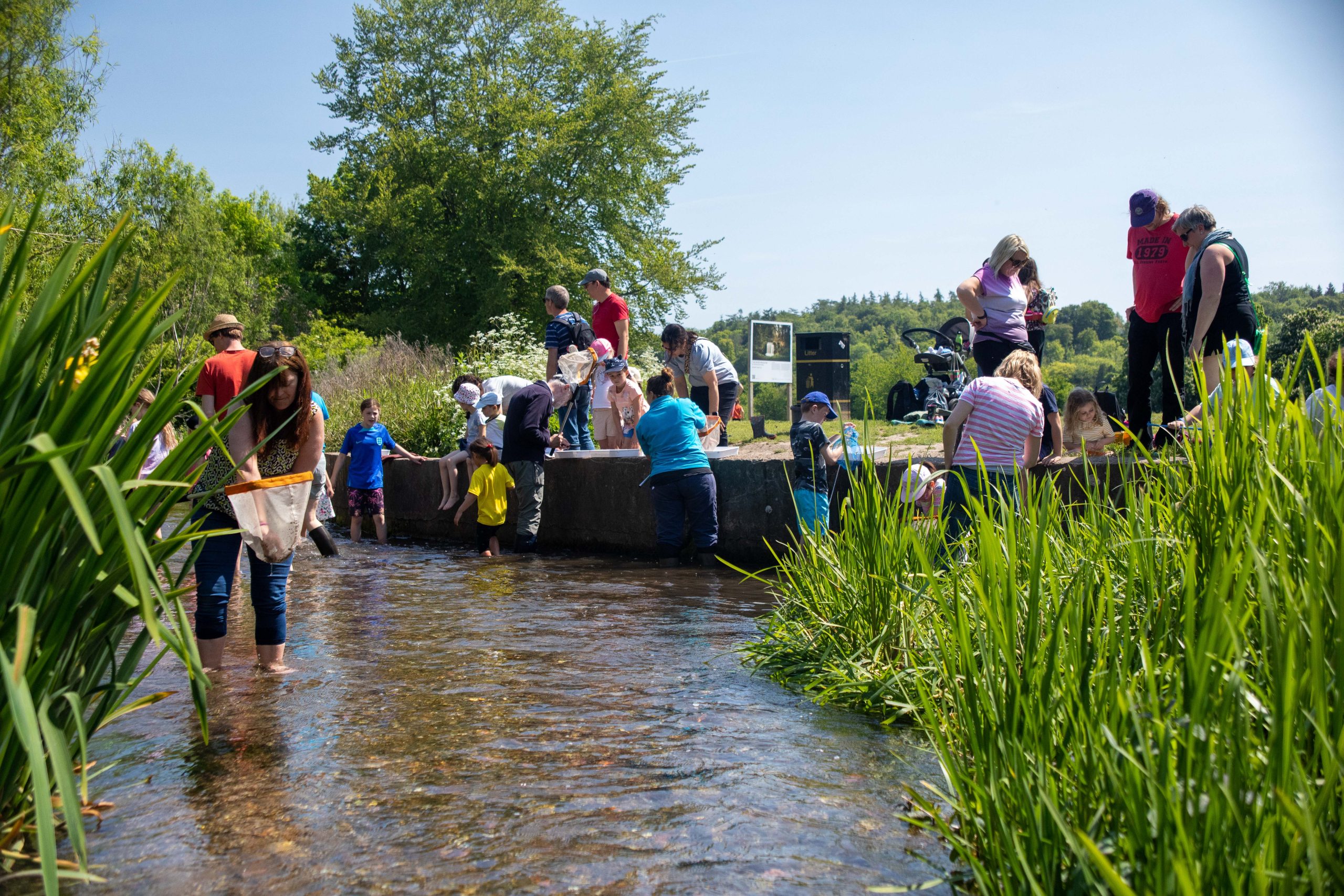 River Chess Discovery Day - River Dipping