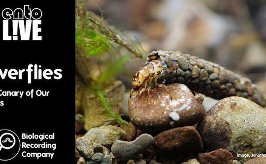 Biological Recording Company event