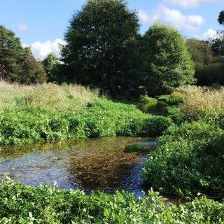 First annual Riverfly Newsletter