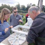 Riverfly training with volunteers on Little Chess