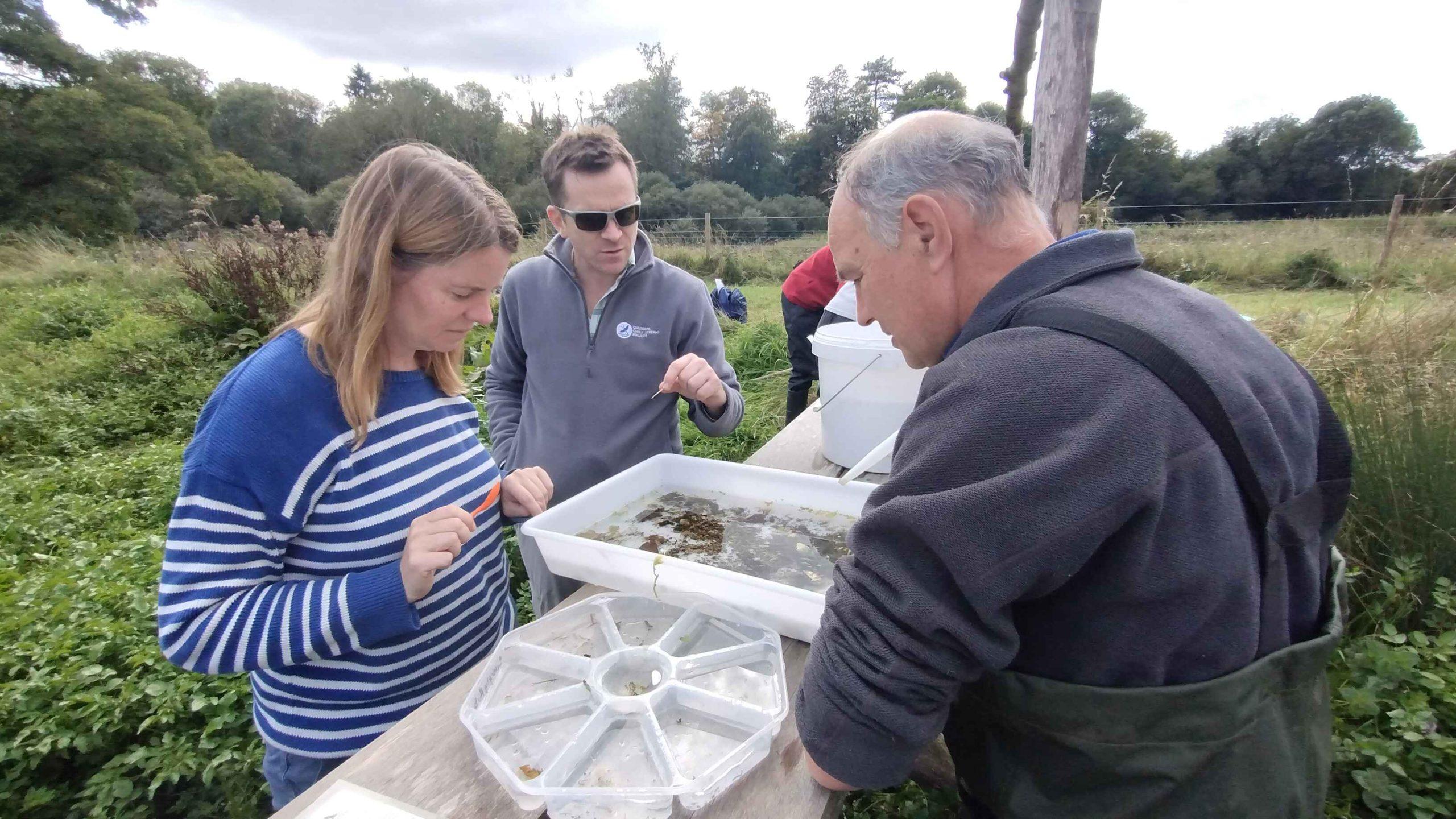 Riverfly training with volunteers on Little Chess