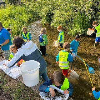 Update on Chesham Moor